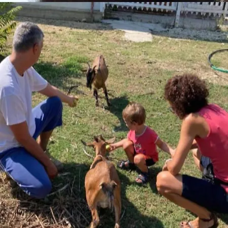 Bed and Breakfast Le Cerque