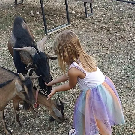Bed and Breakfast Le Cerque Σπολέτο