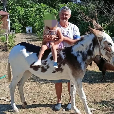 Le Cerque 3* Σπολέτο