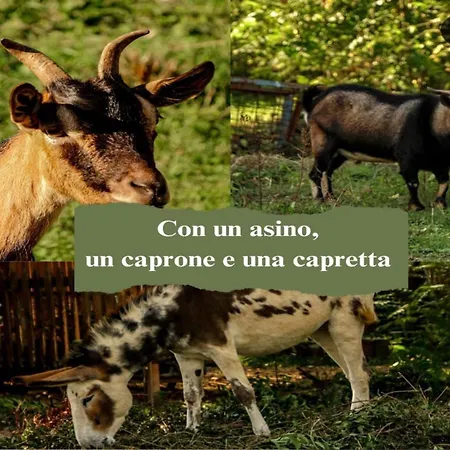 Le Cerque Bed and Breakfast