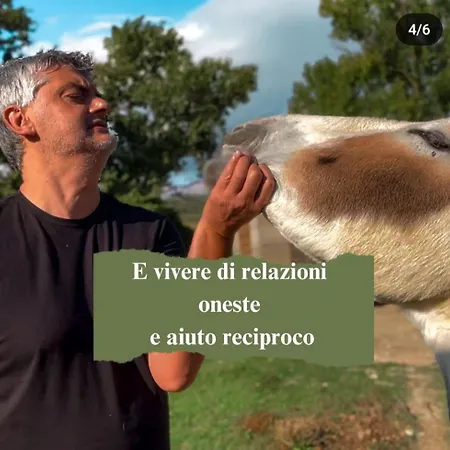 Le Cerque Bed and Breakfast Σπολέτο